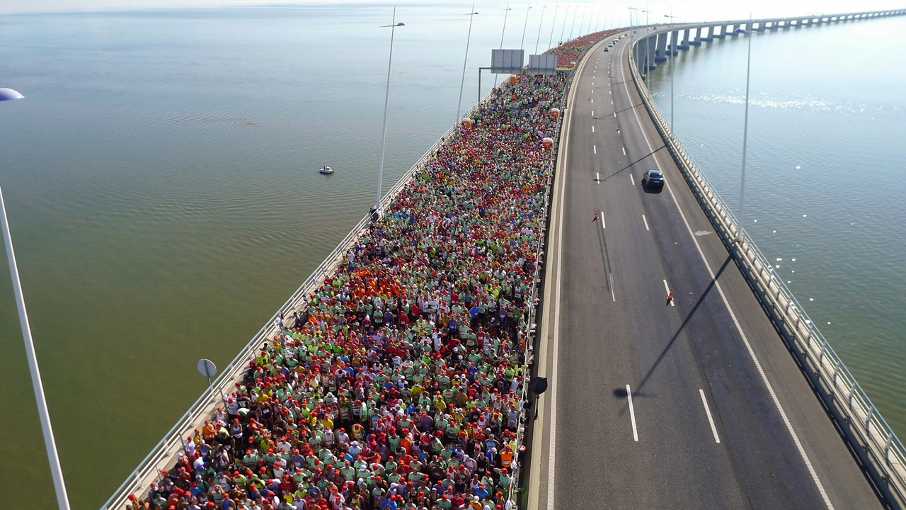 People aerial portfolio photograph